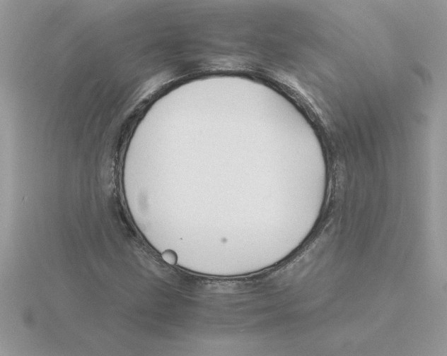 X0000115841211200912111326