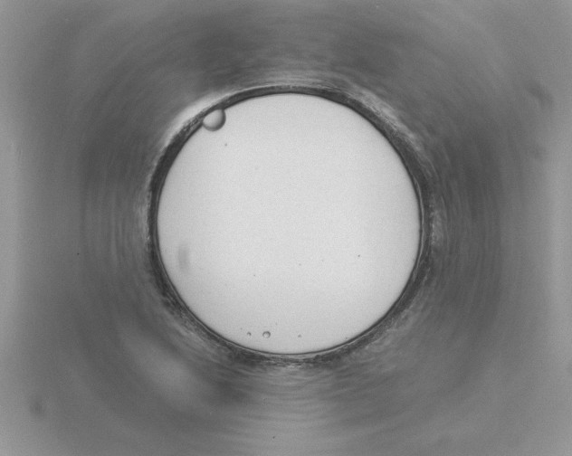 X0000115841222200912111326