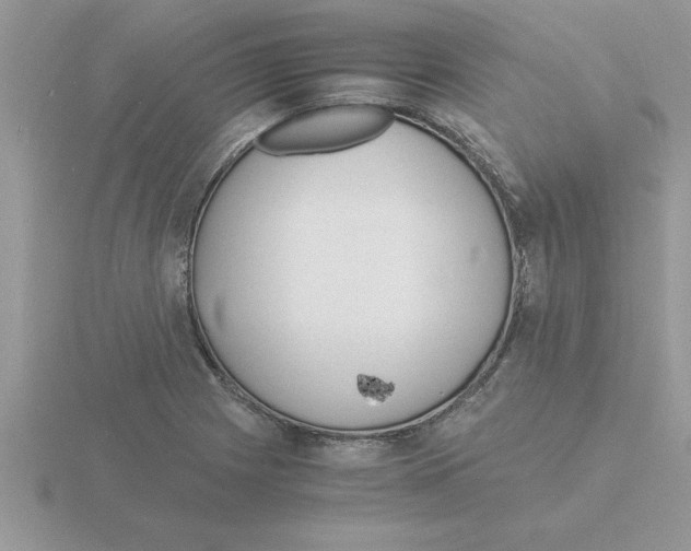 X0000115841225200912111326