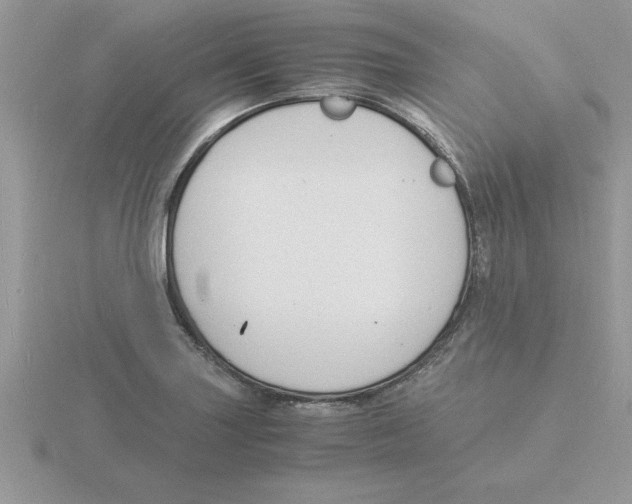 X0000115841227200912111326