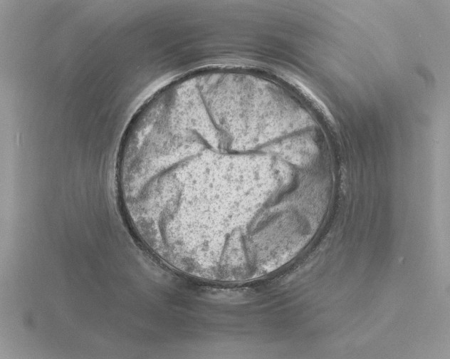 X0000115841229200912111326