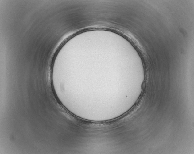 X0000115841232200912111326