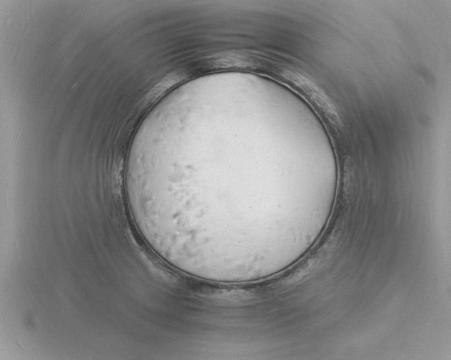 X0000115841233200912111326