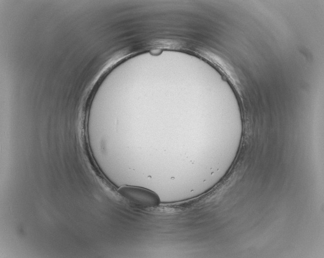 X0000115841235200912111326