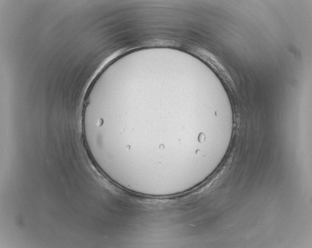 X0000115841236200912111326