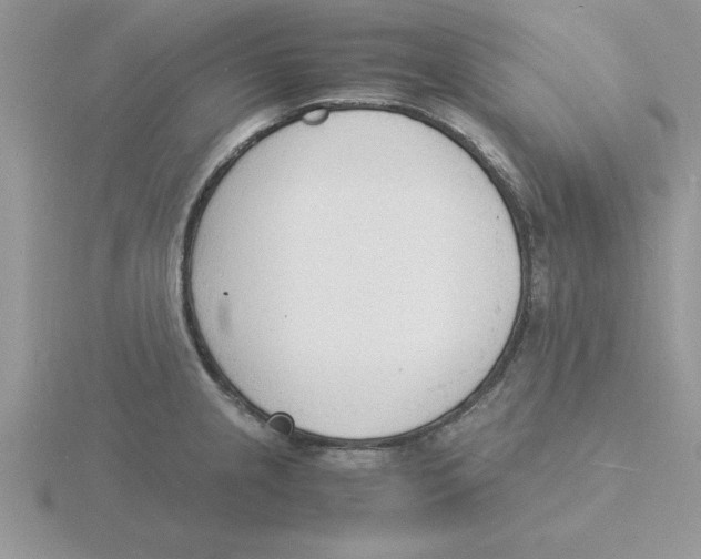 X0000115841237200912111326