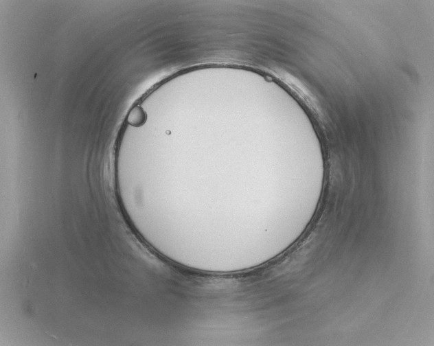 X0000115841238200912111326