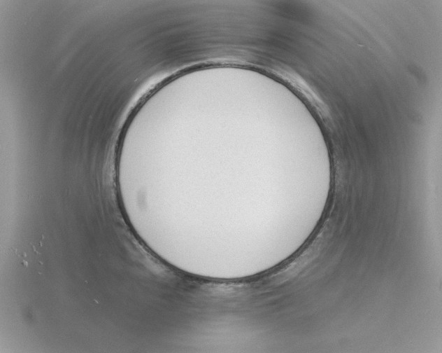 X0000115841240200912111326