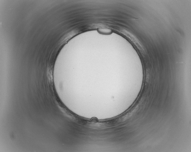 X0000115841241200912111326