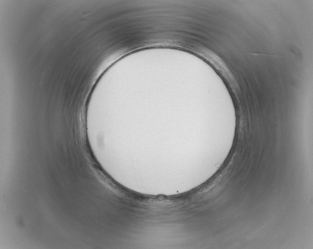 X0000115841242200912111326