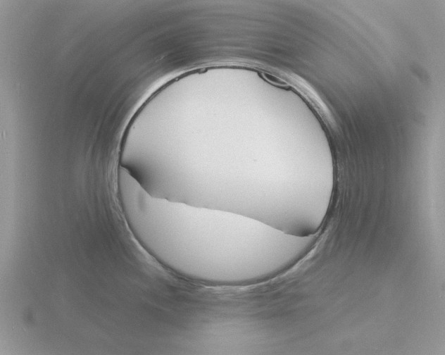 X0000115841244200912111326