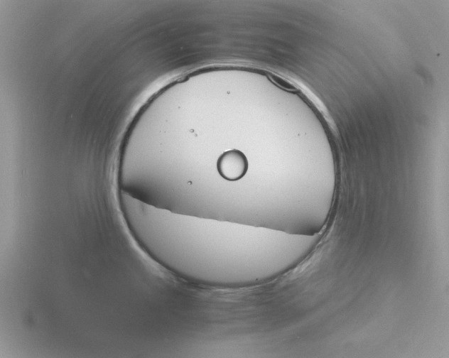 X0000115841245200912111326