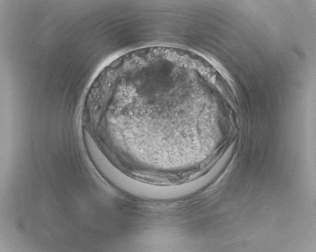 X0000115841246200912111326