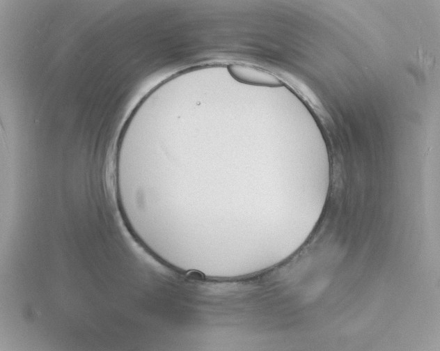 X0000115841247200912111326