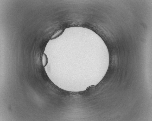 X0000115841250200912111325