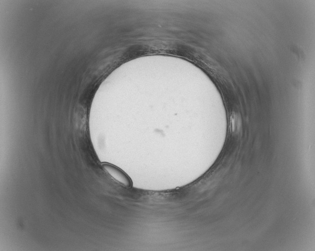 X0000115841251200912111325