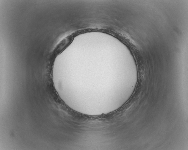 X0000115841256200912111325