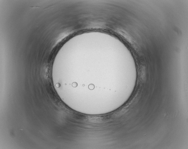 X0000115841258200912111325