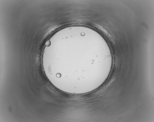 X0000115841259200912111325