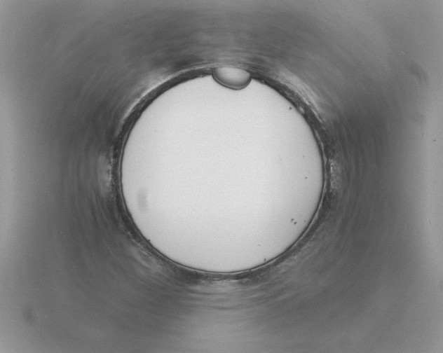 X0000115841260200912111325