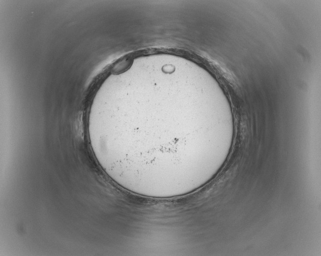 X0000115841262200912111325