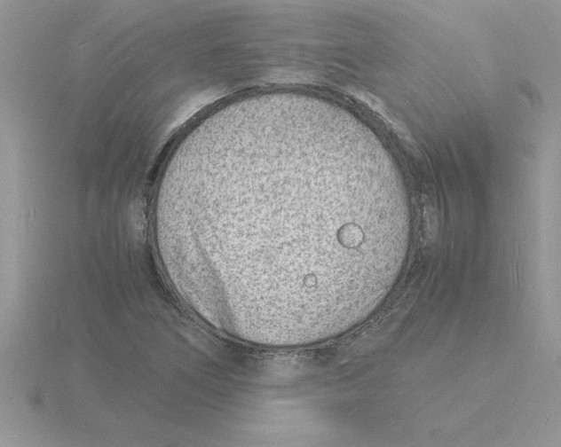 X0000115841266200912111325