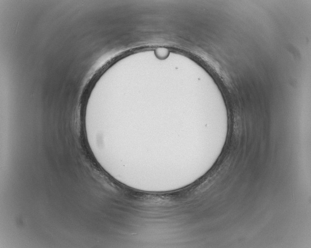 X0000115841270200912111325