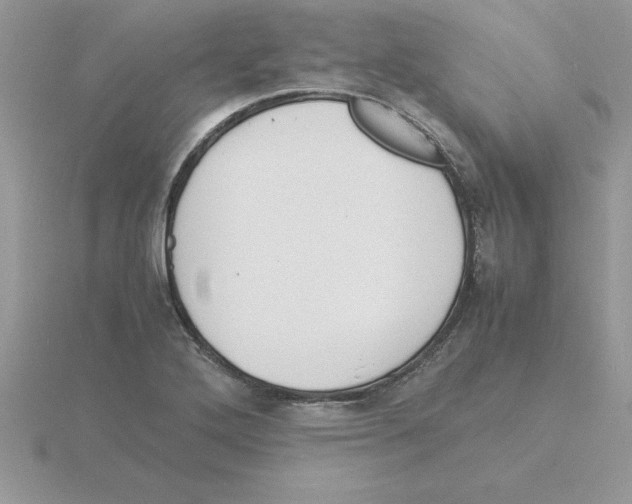 X0000115841272200912111325