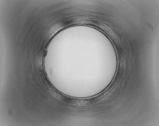 X0000115841273200912111325