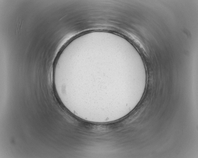 X0000115841275200912111325