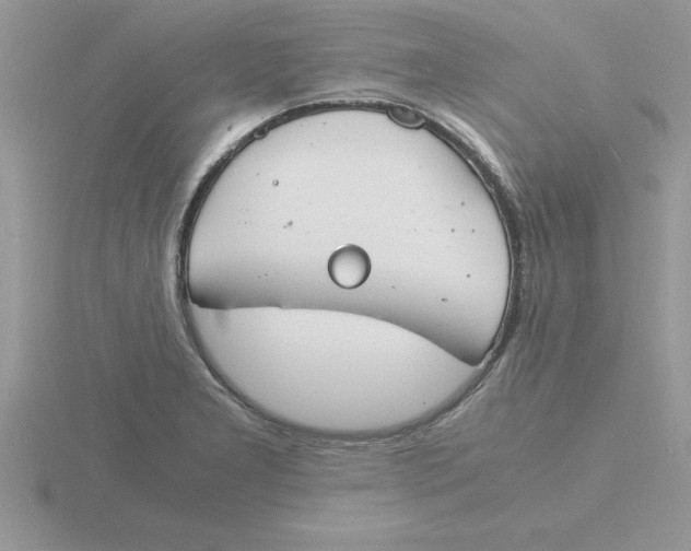 X0000115841277200912111325