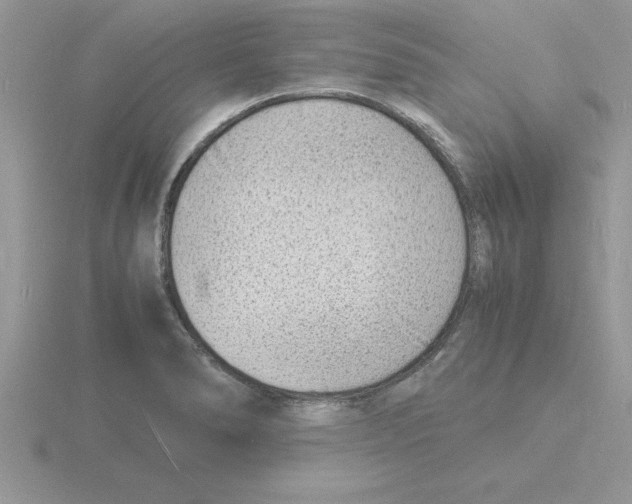 X0000115841278200912111325