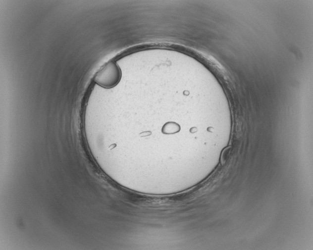 X0000115841279200912111325