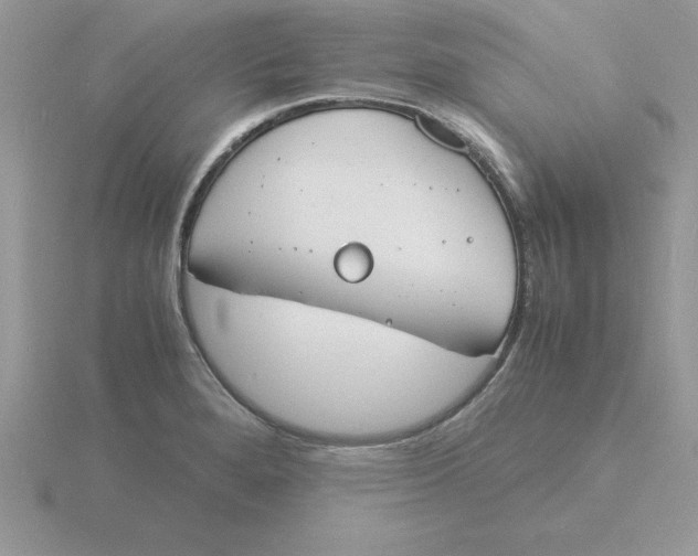 X0000115841280200912111325