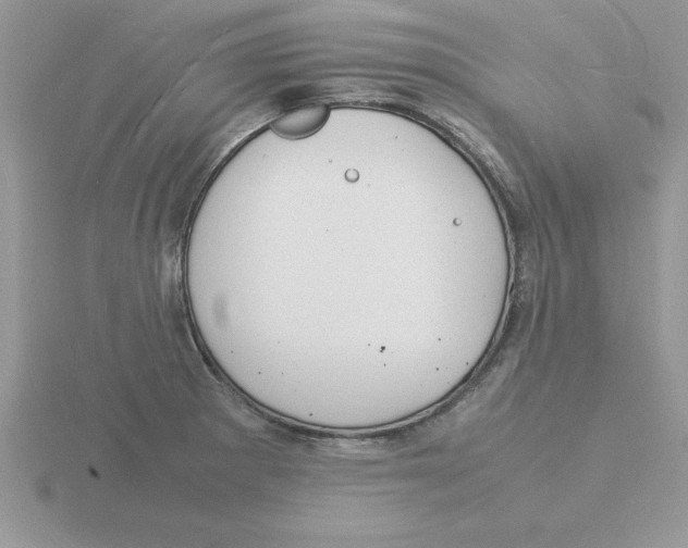 X0000115841281200912111325