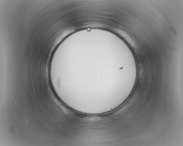 X0000115841282200912111325