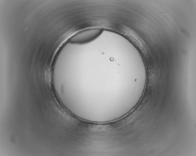 X0000115841284200912111325