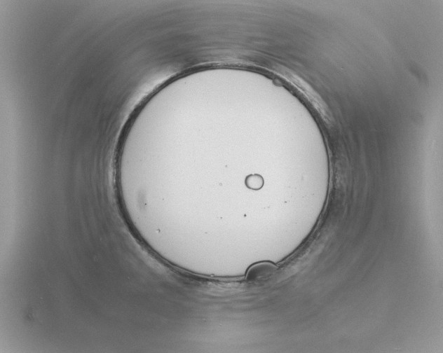 X0000115841285200912111325