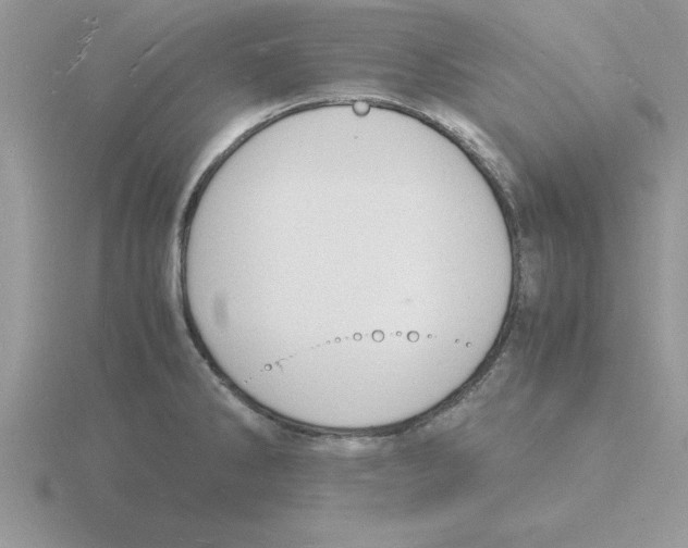 X0000115841286200912111325