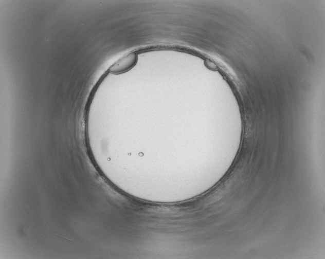 X0000115841287200912111325