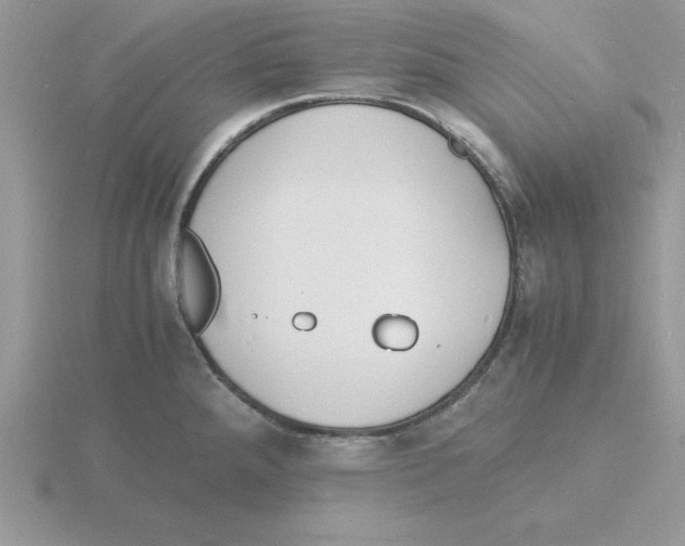 X0000115841288200912111325