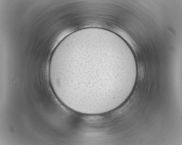 X0000115841290200912111325