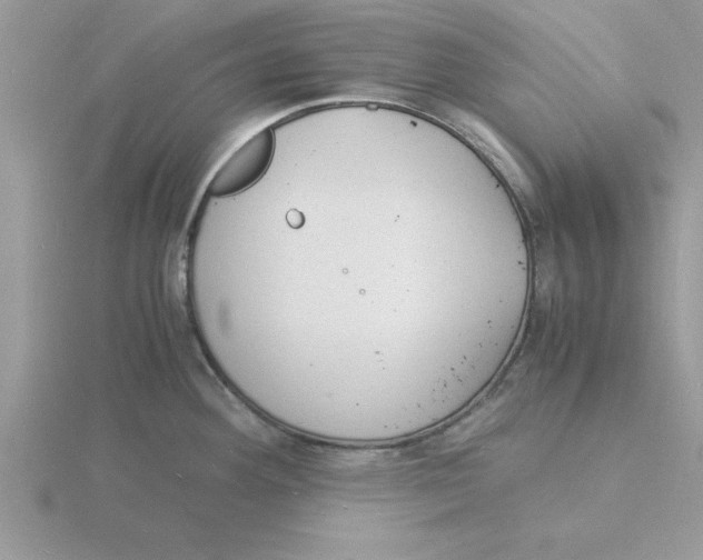 X0000115841292200912111325