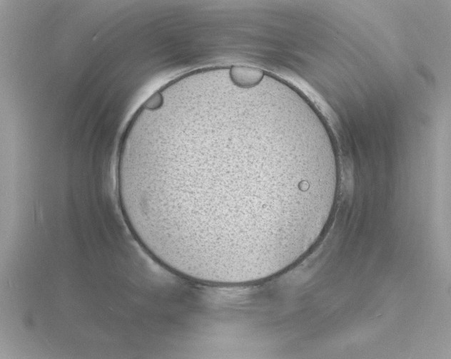 X0000115841294200912111325