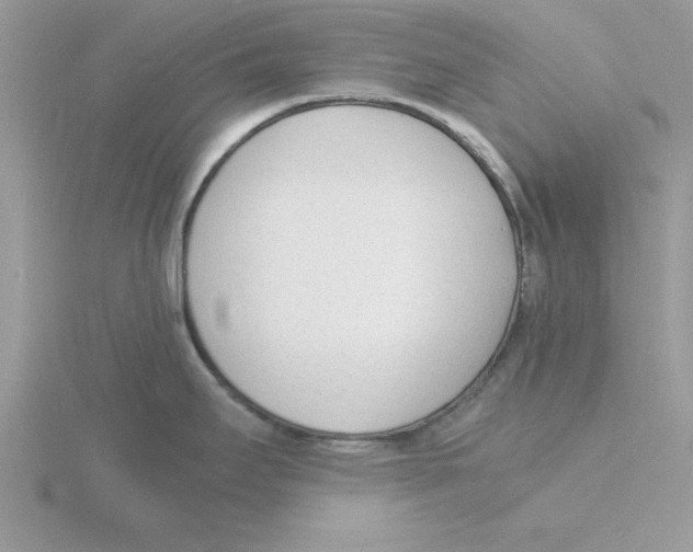 X0000115841295200912111325