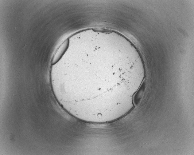 X0000115841296200912111325