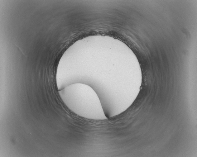 X0000115841298200912111324