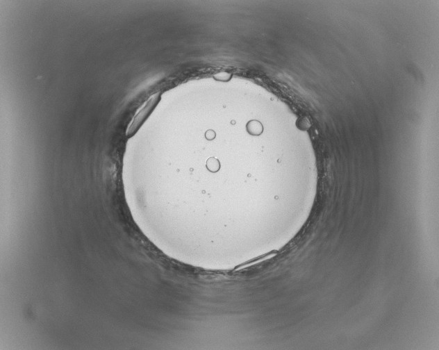 X0000115841302200912111324