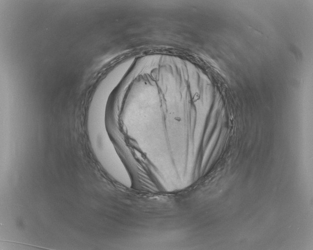 X0000115841303200912111324