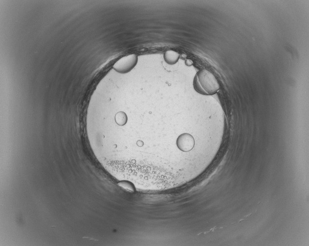 X0000115841305200912111324